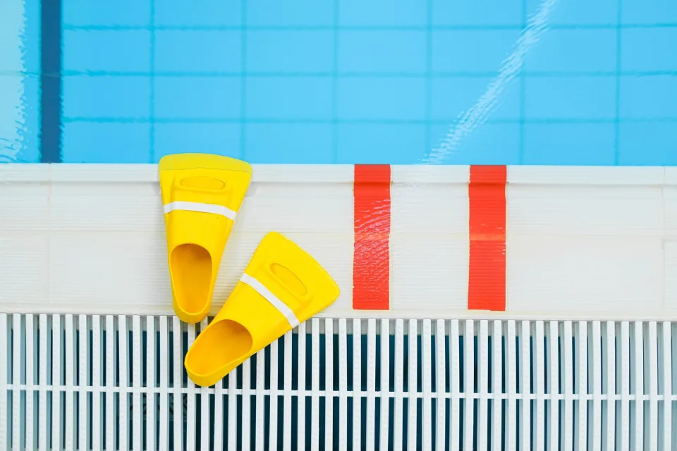 Hình ảnh tại Miền Nhiệt Đới 2
